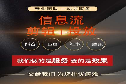 行业专家解析SEM代运营成功案例